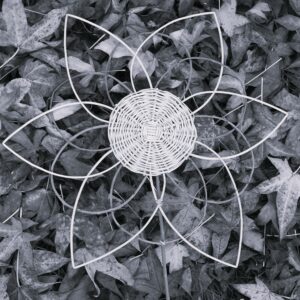 Crée ta fleur éternel en osier avec L'Atelier très sage